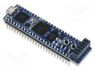 Dev.kit: Xilinx; Artix-7; Comp: XC7A35T-1CPG236C DIGILENT