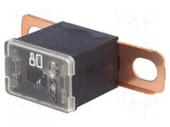 Fuse: fuse; 80A; automotive; JAPVAL; male; 36mm MTA