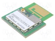 Module: WiFi; IEEE 802.11b/g/n; SPI,UART; 65Mbps WIZNET