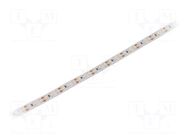 LED tape; white cold; 3528; LED/m: 120; 10mm; white PCB; IP20; 12VDC WISVA OPTOELECTRONICS