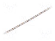 LED tape; white cold; 3528; LED/m: 120; 10mm; white PCB; IP20; 12VDC WISVA OPTOELECTRONICS