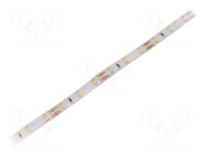 LED tape; white cold; 2835; LED/m: 60; 8mm; white PCB; IP65; 12W/m WISVA OPTOELECTRONICS