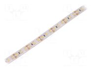 LED tape; white neutral; 3528; LED/m: 120; 10mm; white PCB; IP65 WISVA OPTOELECTRONICS