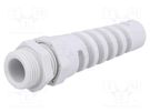 Cable gland; with strain relief; PG11; IP68; polyamide; grey HUMMEL