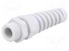 Cable gland; with strain relief; PG9; IP68; polyamide; grey HUMMEL