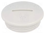 Stopper; PG21; IP54; polyamide; grey; V-N-FS; Thread: PG; 8mm HUMMEL