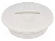 Stopper; PG13,5; IP54; polyamide; grey; V-N-FS; Thread: PG; 6mm HUMMEL