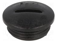 Stopper; PG11; IP54; polyamide; black; V-N-FS; Thread: PG; 6mm HUMMEL