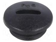 Stopper; PG9; IP54; polyamide; black; V-N-FS; Thread: PG; 6mm HUMMEL