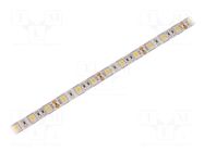 LED tape; white neutral; 5050; LED/m: 60; 10mm; white PCB; IP65 WISVA OPTOELECTRONICS