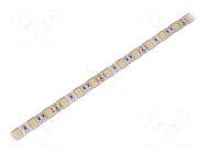 LED tape; white warm; 5050; LED/m: 60; 10mm; white PCB; IP65; 12VDC WISVA OPTOELECTRONICS