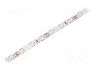 LED tape; white cold; 3528; LED/m: 60; 8mm; white PCB; IP20; 4.8W/m WISVA OPTOELECTRONICS