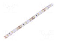 LED tape; white neutral; 2835; LED/m: 60; 10mm; white PCB; IP20 WISVA OPTOELECTRONICS