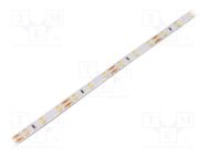 LED tape; white neutral; 2835; 12V; LED/m: 60; 8mm; white PCB; IP65 WISVA OPTOELECTRONICS