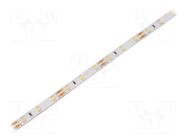 LED tape; white neutral; 2835; LED/m: 60; 8mm; white PCB; IP65 WISVA OPTOELECTRONICS