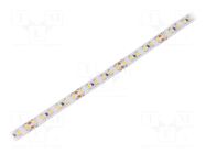 LED tape; white warm; 2835; LED/m: 120; 10mm; white PCB; IP20; 24W/m WISVA OPTOELECTRONICS