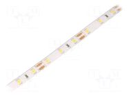 LED tape; white warm; 2835; LED/m: 60; 8mm; white PCB; IP65; 12W/m WISVA OPTOELECTRONICS