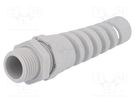 Cable gland; with strain relief; NPT1/2"; IP68; polyamide; grey HUMMEL