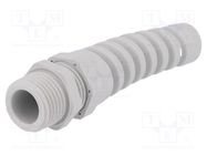 Cable gland; with strain relief; NPT1/2"; IP68; polyamide; grey HUMMEL