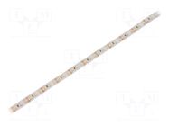 LED tape; white warm; 3528; LED/m: 120; 10mm; white PCB; IP65; 12VDC WISVA OPTOELECTRONICS