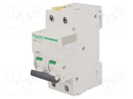 Circuit breaker; 400VAC; Inom: 1A; Poles: 2; for DIN rail mounting SCHNEIDER ELECTRIC