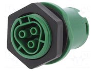 Connector: circular; socket; RST; female; PIN: 3; 250V; 20A; green WIELAND