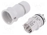 Connector: circular; plug; RST; female; PIN: 3; 250V; silver plated WIELAND
