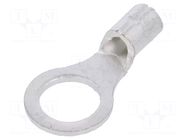 Tip: ring; M5; 0.25÷1.65mm2; crimped; for cable; non-insulated NICHIFU