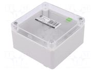 Enclosure: multipurpose; X: 105mm; Y: 105mm; Z: 66mm; INDUSTRIAL ELEKTRO-PLAST NASIELSK