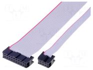 Ribbon cable with IDC connectors; Tape ph: 1.27mm; 0.6m AMPHENOL