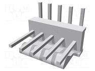 Connector: wire-board; socket; male; PIN: 5; 2.54mm; THT; MTA-100 TE Connectivity