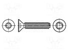 Screw; 2x6; Head: countersunk; Torx®; TX06; steel; zinc; Øhead: 3.8mm BOSSARD