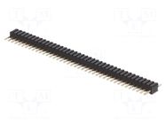 Connector: pin strips; pin header; male; PIN: 40; THT; straight NINIGI