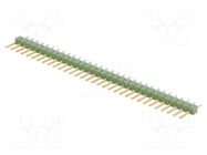 Connector: pin strips; pin header; male; PIN: 32; AMPMODU MOD II TE Connectivity