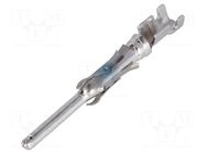 Contact; male; 16; CPC Series 1,CPC Series 4,TYPE III+,V35; bulk TE Connectivity