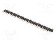 Connector: pin strips; pin header; male; PIN: 32; straight; 2.54mm CONNFLY