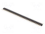 Connector: pin strips; pin header; male; PIN: 32; THT; straight CONNFLY