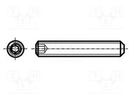 Screw; M6x22; 1; Head: without head; hex key; HEX 3mm; steel BOSSARD