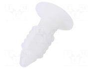 Rivet; polyamide; natural; Ømount.hole: 6.35mm; UL94V-2; L: 19.1mm ESSENTRA