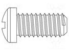 Screw; M5x12; 0.8; Head: cheese head; Phillips; polyamide; ISO 7045 DREMEC