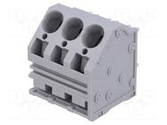 Connector: PCB terminal block; terminal; 66A; 300V; angled; tinned DEGSON ELECTRONICS