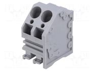 Connector: PCB terminal block; terminal; 30A; 300V; angled; tinned DEGSON ELECTRONICS