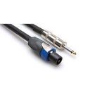 10FT SPEAKON-TO-1/4 IN PLUG   14AWG 2C PRO AUDIO CABLE