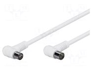 Cable; 2.5m; white; 75Ω GOOBAY