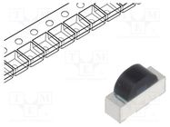 PIN IR photodiode; SMD; 920nm; 780÷1050nm; 150°; flat; black VISHAY