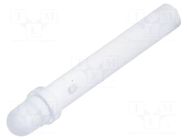 Fiber for LED; Ø3mm; L: 19mm; round; Front: convex; straight; PLP1 BIVAR