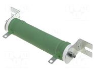 Resistor: wire-wound; 47Ω; 100W; ±5%; Ø31x140mm; 300ppm/°C ROYALOHM