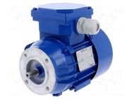 Motor: AC; 3-phase; 0.06kW; 230/400VAC; 1400rpm; IP54; -30÷60°C BESEL