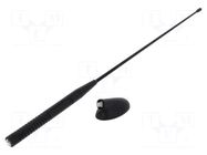 Antenna; AM,FM; Ford 4CARMEDIA