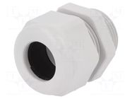 Gland; IP68; thermoplastic; M25; 13÷18mm; grey HARTING